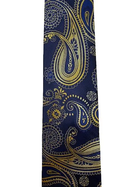 Navy and Gold Paisley Tie